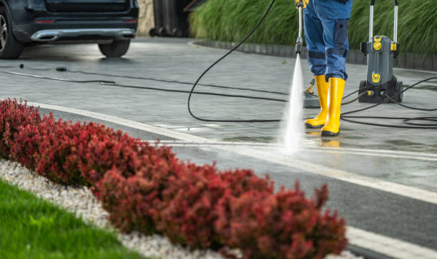 Best Driveway Pressure Washing  in Lovington, IL